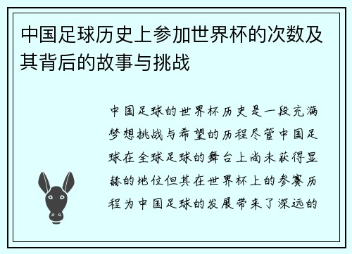 中国足球历史上参加世界杯的次数及其背后的故事与挑战
